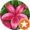 Alicia Babbitt Avatar