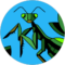 Rob Mettal Avatar