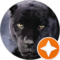 Kierron robinson Avatar