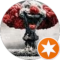 Pauly Avatar