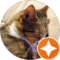 Sanie K. Avatar
