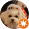 Patty Parton Avatar