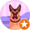 Ashley Hernandez Avatar