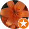 Kimberly Noland Avatar