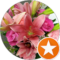 A. Taylor Avatar