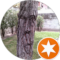 Ramon Zavala Avatar