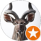 Kevin Liu Avatar