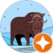 Jim Somsel Avatar