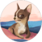 Stacy Retana Avatar