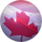 kc mann Avatar