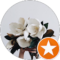 Bree Dozier Avatar