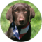 Sherrill Williamson Avatar