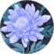Sabrina Ortega Avatar