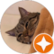 Dae Z Avatar