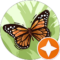 LUCINDA T Avatar
