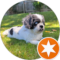 Rob Ramer Avatar