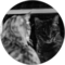 D Rod Avatar