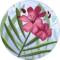 Nozanin Donayorova Avatar