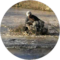 G. Ray Avatar