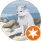 Eli5346 G Avatar