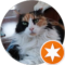 Sparkles The Cat Avatar
