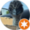 K G Avatar