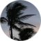 Sam H Avatar
