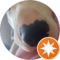 Jo Pan Avatar