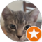 Legacy Logistics Avatar