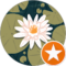 M Veach Avatar
