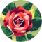Alysia Pastore Avatar