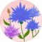 Athena T. Avatar
