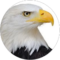 Bagram Eagle Construction &amp; Logistic Company Avatar