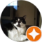 Pat Slovnik Avatar