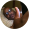 Dwayne BrownSr Avatar