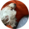 Mattomaton Avatar