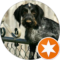 Troy Emmett Avatar