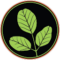 ross hagen Avatar