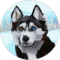 Oliver Davis Avatar