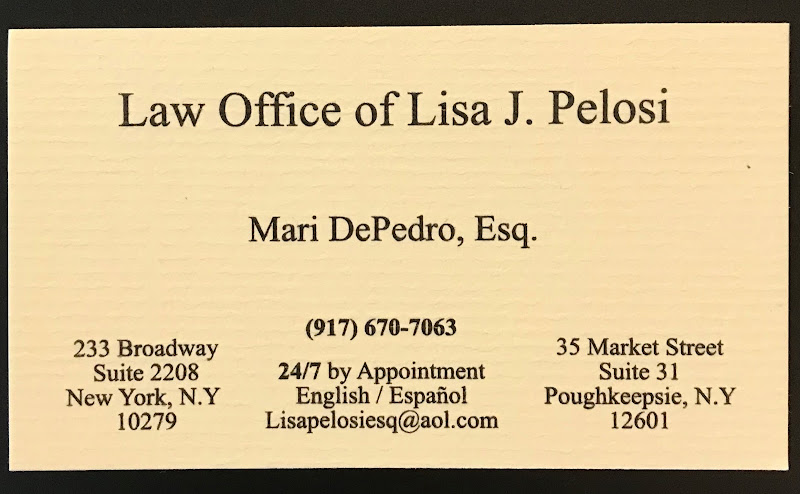 The Law Office of Lisa Pelosi