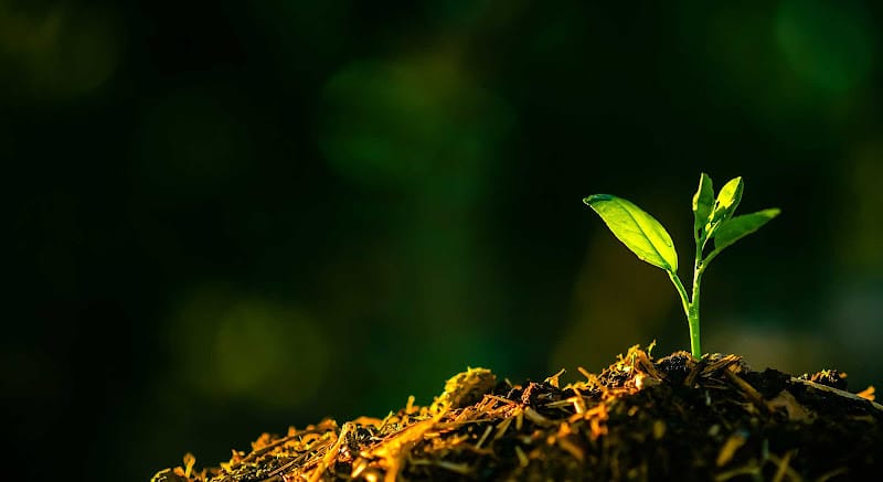 Rodney S. Scott, Attorney at Law