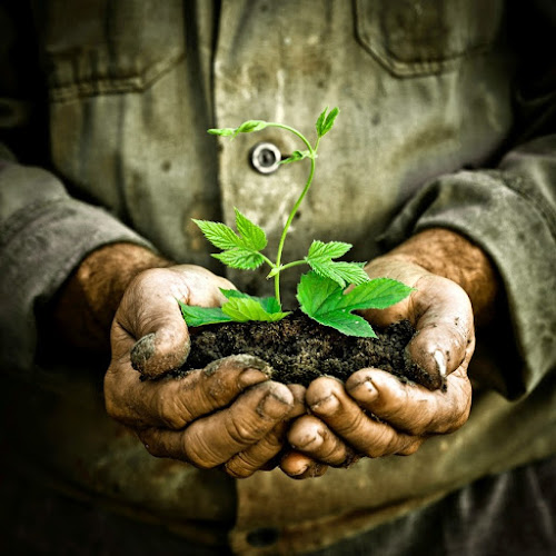 The Law Office of Andrew Magdy