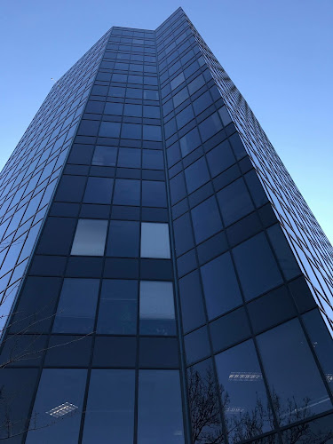 Vicki M. Carriker, Attorney at Law