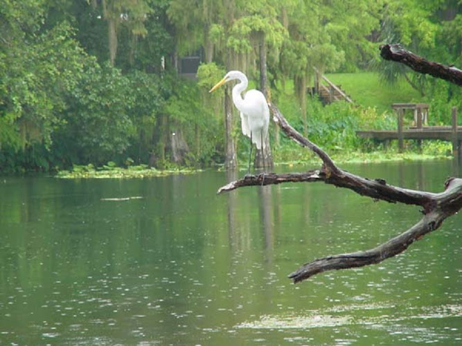 Law Offices Of Amanda C. Micallef, P.A.