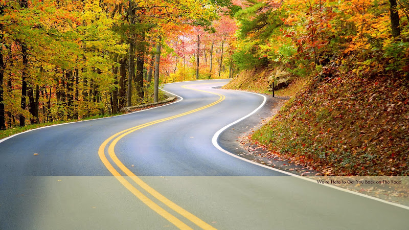 The Arant Law Group PC