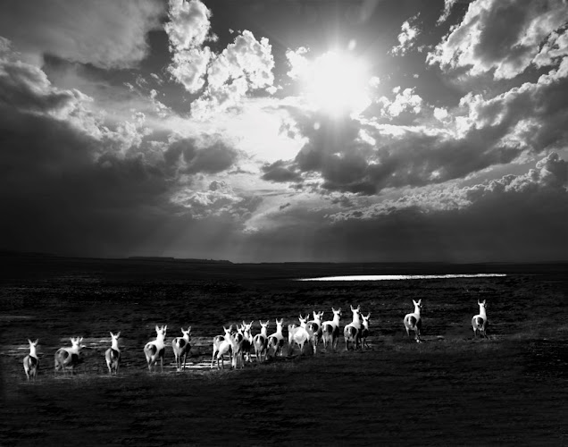 Buchhammer & Ward, P.C.