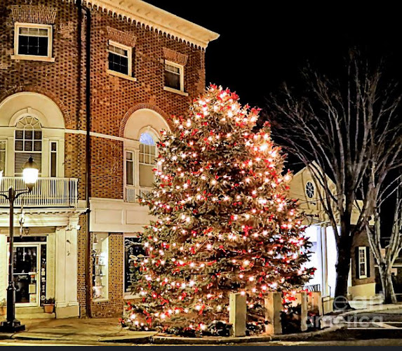 Foreclosure Assistance Attorney | Bankruptcy Lawyer in Plymouth