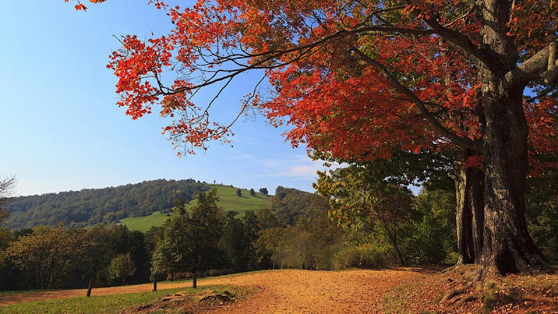 The Law Office of William Harville