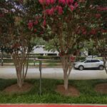 Limbocker Law Firm, LLC