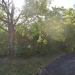 The Law Office of Mitchell E. Pippin, P.C.